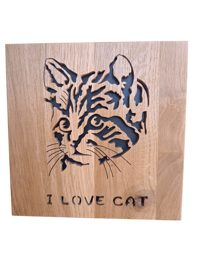 Chat "I love Cat"