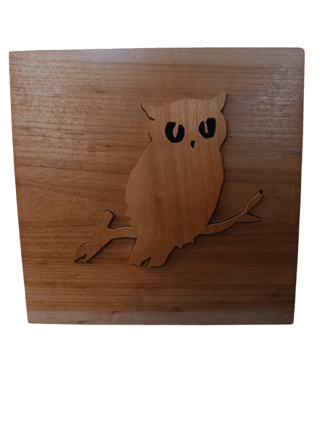 Chouette 3D